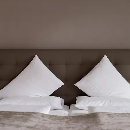 ホテル Stadthotel Goldenes Schiff