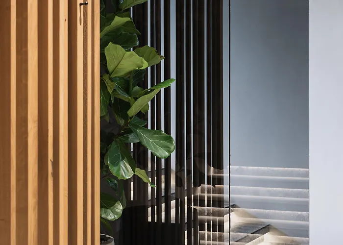 酒店 Stadthotel Goldenes Schiff 巴德伊舍